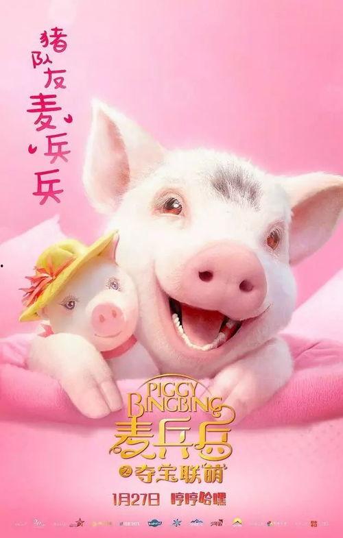 小猪影视,打造多元化影视娱乐新天地