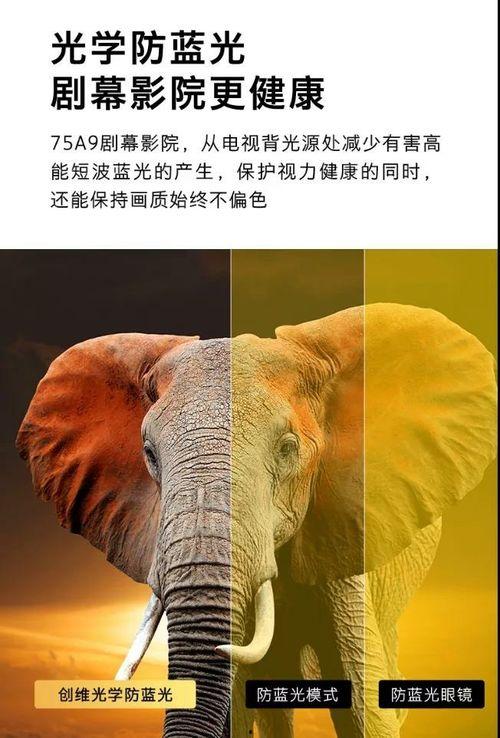 老王影院加勒比,加勒比风情的奇幻之旅